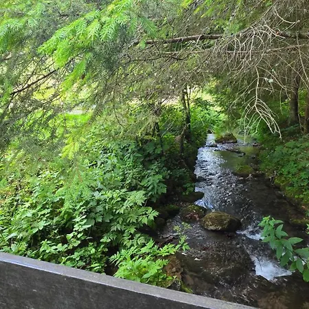 Apartmanica Mountain Rybie 480, Stare Hory, Tatras Dovolenkový dom